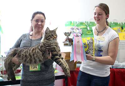 �������� ����� 11-12 ������ 2015, ������������ ���  mco-194-169A4075 copy.jpg